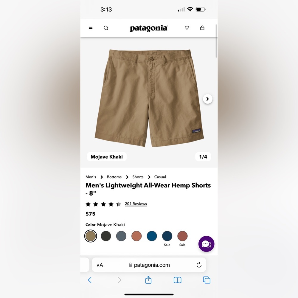 COPY - Patagonia Mens 32” hemp short